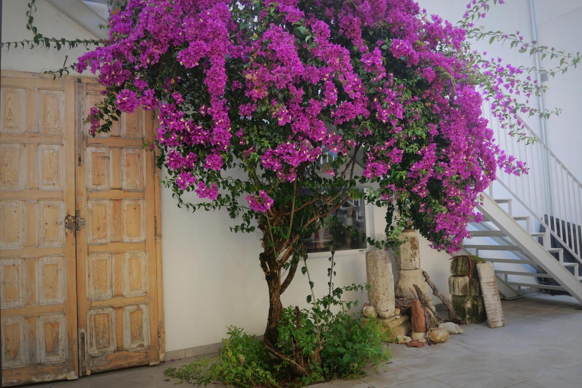 Appartamento Casa De La Fra Jerez de la Frontera Esterno foto